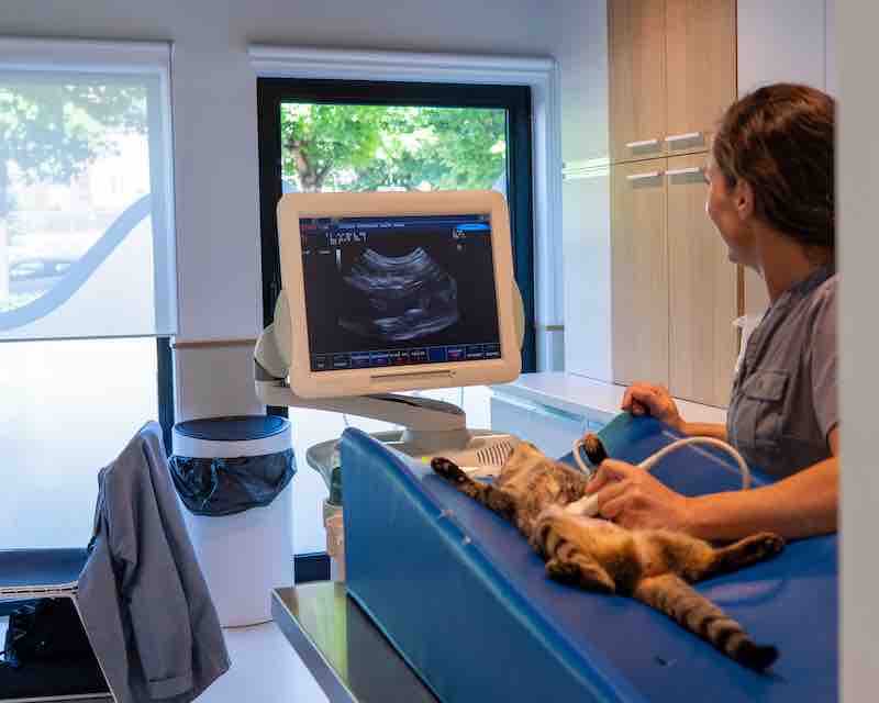 Clinique photo 12