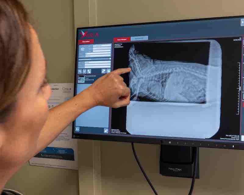 Clinique photo 15