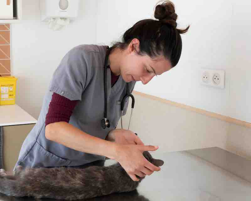 Clinique photo 2