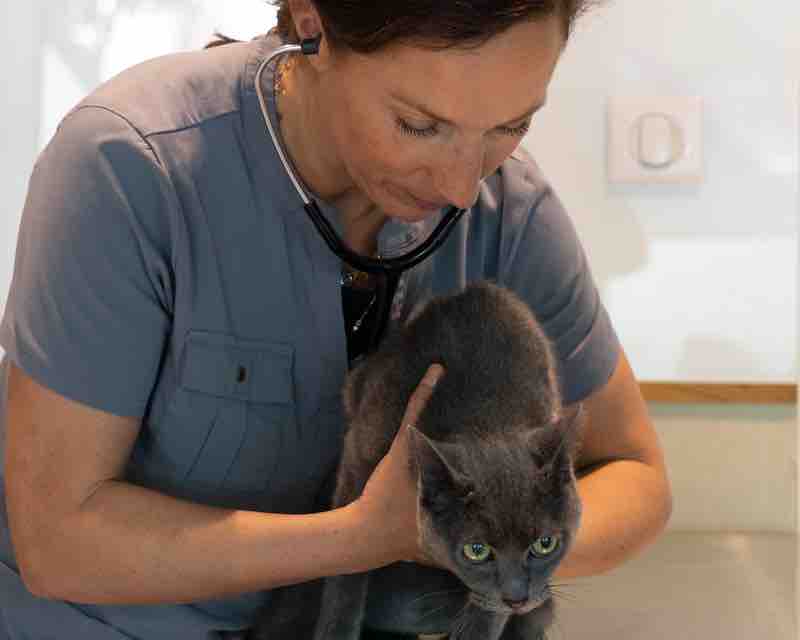 Clinique photo 5