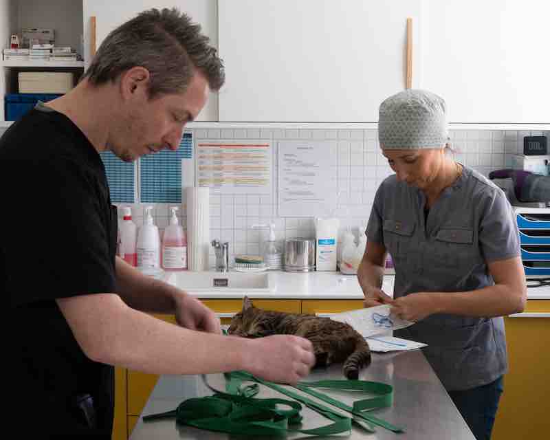 Clinique photo 8